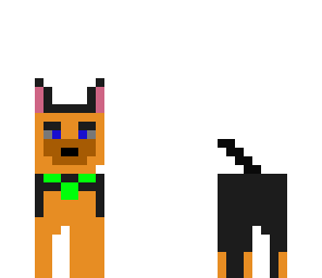 super perro