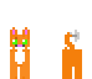 stampylongnose kitten