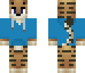 apmfbear1