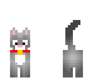 cute cat