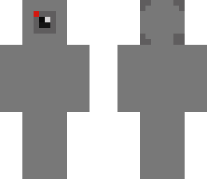 camera guy