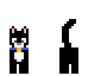 kitty