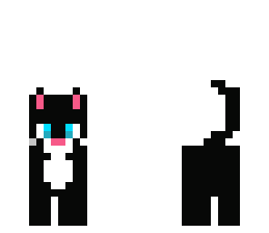 kitty