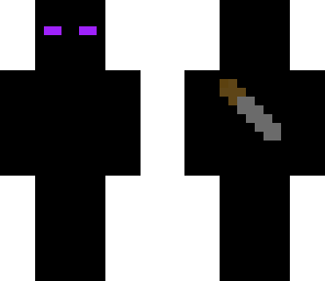 ender ninja