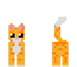 my ginger cat