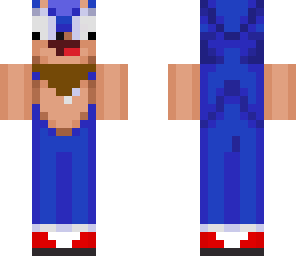 sonic the gamer hedgehog