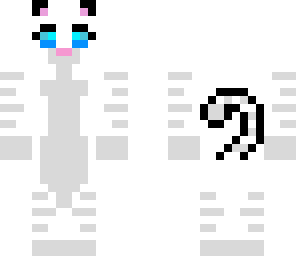 white kitten