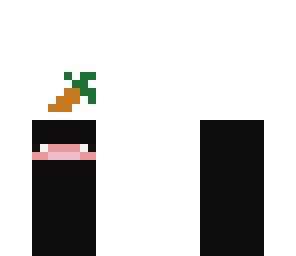 pig ninja