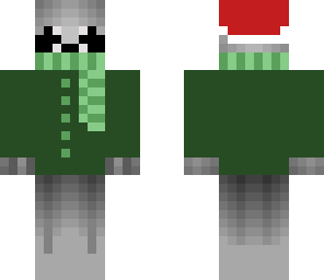 christams racoon