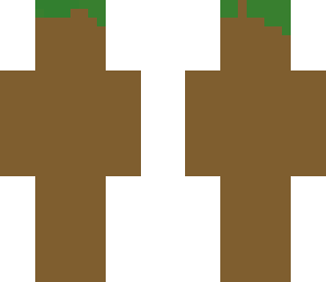 dirt