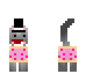 sir derpingnyan