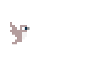 birdy