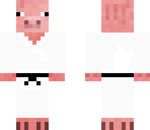 karate piggy