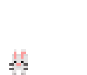 bunny
