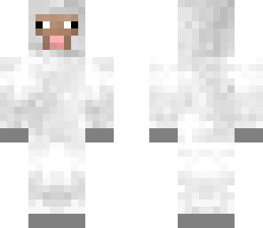 sheep