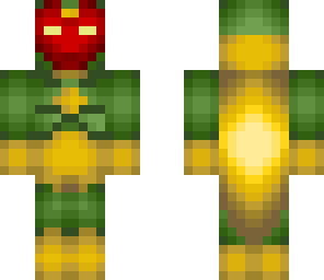 the vision