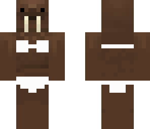 walrus bae