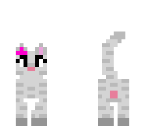 kitty