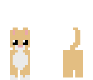 orange tabby