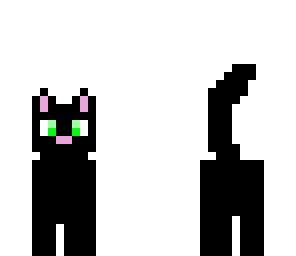 cute black cat