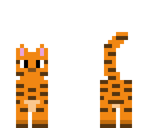 cat skin