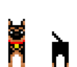 dog