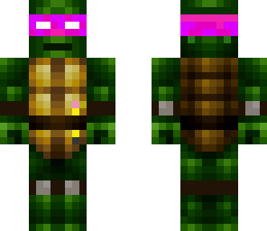 ninja turtle