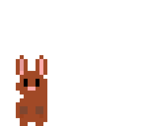 cute bunny