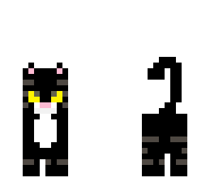 the cat