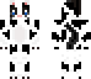 black and white cat
