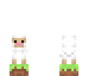sheep