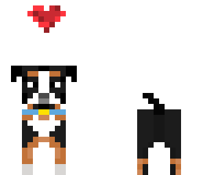 puppy