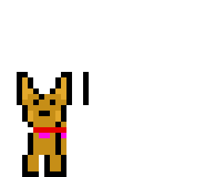 6th dog