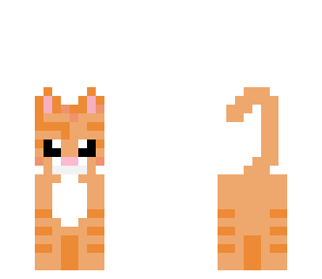 orange cat