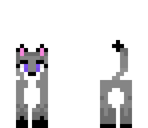 cute kitten