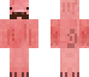 mustache  pig
