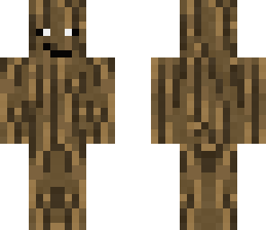 mc_player555 the log