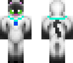 siamese cat