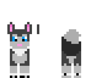 adorable pup
