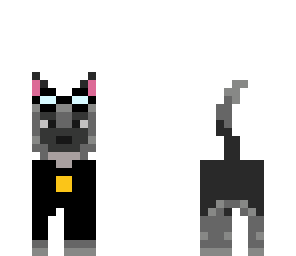 dtm as dog