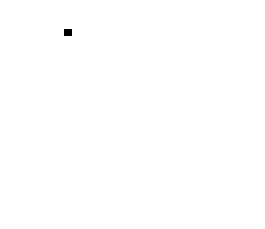 the black dot
