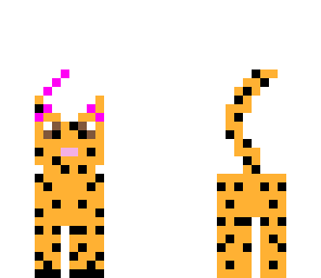 cheetah