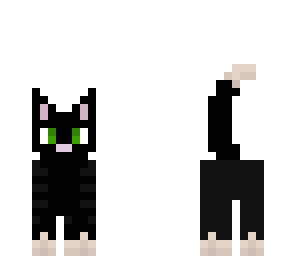 black kitteay
