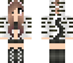 zebra cat