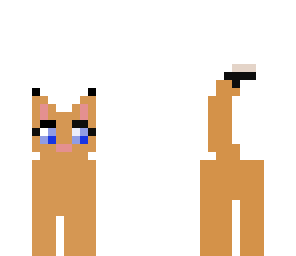 brown kitteay