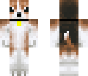 beagle dog