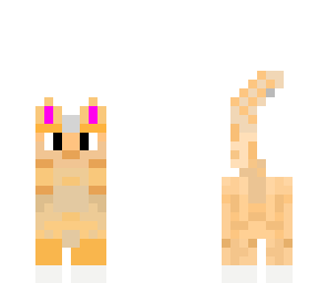 orange kitty