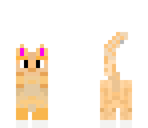 orange kitty