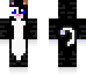coco the cat