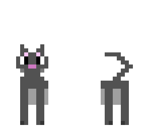 night cat